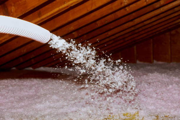 Best Insulation Maintenance and Repair in Etna, PA